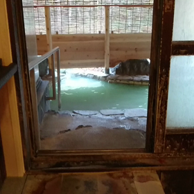 元泉館 ｢にごり湯で寝湯｣ 動画の画像