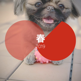 春  はいいね♪の画像