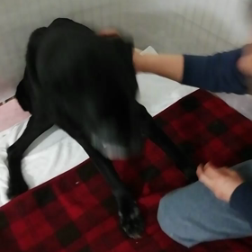 ボブ君はもうすぐ16歳の画像