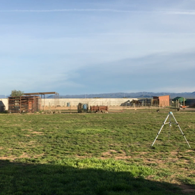 動物語( コヨーテ)の画像