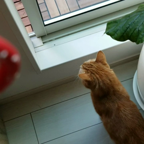 お久しぶりです！の画像