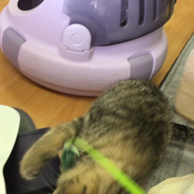 ころころ変わるお天気の画像