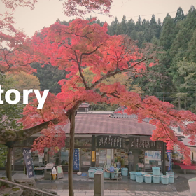 香川県の お遍路最終札所の紅葉動画を 製作しましたの画像