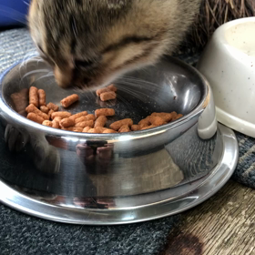 やっと来ましたの画像