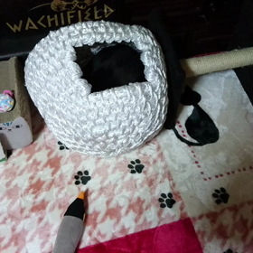 今日はホームビデオ記念日の画像