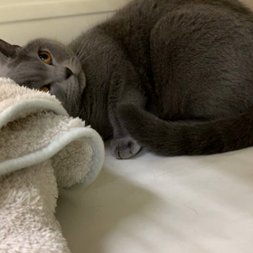 今日のモネちゃん♡の画像