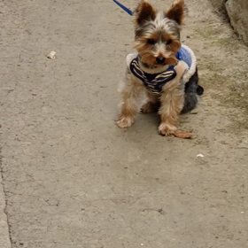 サンちゃんサービスの画像