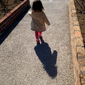 ねことむすめの画像