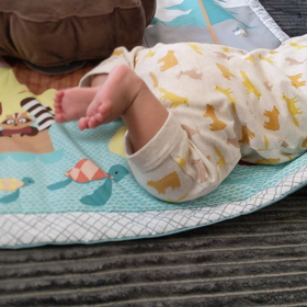 ずりばいの練習？の画像