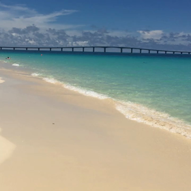 変な夢。の画像