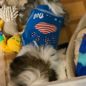 元気かと思いきや…の画像