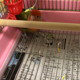 天然な発言の画像