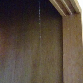 今朝のドタバタ(。>д<)の画像