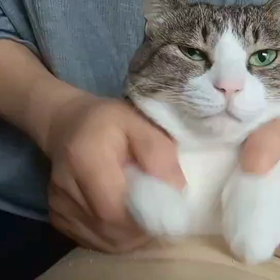 *キアラと主さんのルーティンの画像