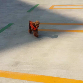 明日の予定の画像