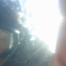 シュノーケリングの画像