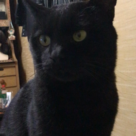 洗濯機が壊れて1年、そして。の画像