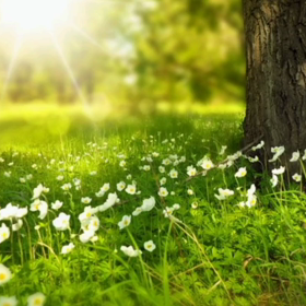 ♪がんばろうの画像