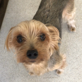 ♪年末年始のプレイルーム動画♪⑦の画像