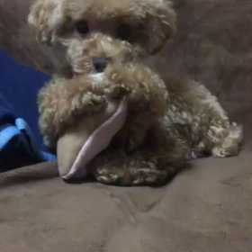 食べられるかな⁉️の画像