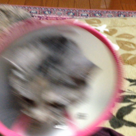 痒いところに手が届かないの画像