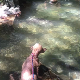 助けてる？の画像