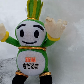 2/17の画像