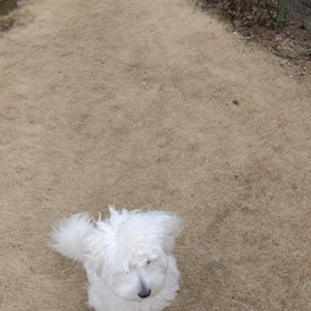 ただ今特訓中の画像