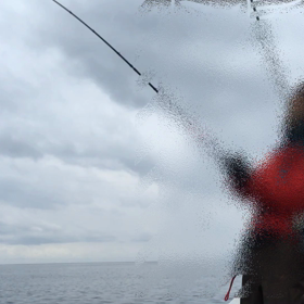 ボートロックよいしょー動画！の画像