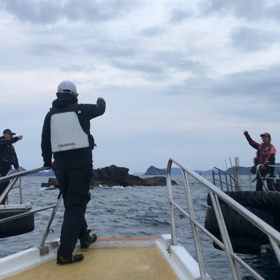 本日の主役‼️の画像