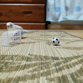 サッカーの画像