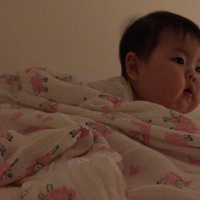 寝る前の儀式の画像