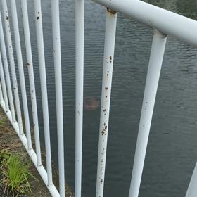 お墓参りの画像