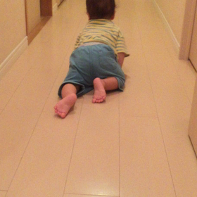 歩く気配なし？の画像