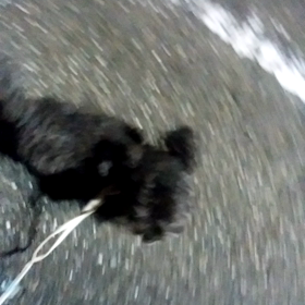 お泊まりホッチくんの画像