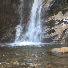 大好きな光のシャワーの画像