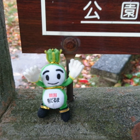 11/12の画像