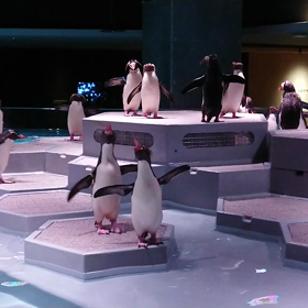 サプリメントの画像