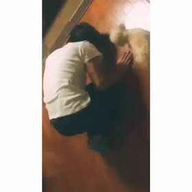 はいかわいい。の画像