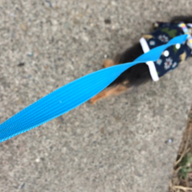 ご無沙汰してしまいましたぁの画像