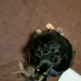 神様❗お願い(ToT)の画像