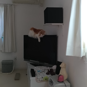 まいばーすでーの画像