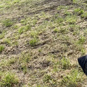 サッカー・デビュー？！の画像