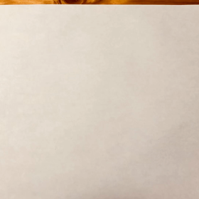 初体験！zoomセッションの画像