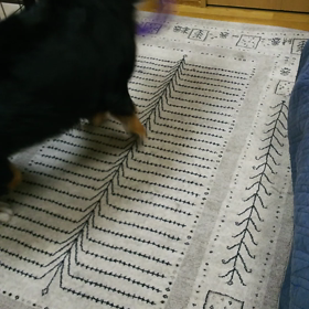 あーの軽やかステップだよんの画像