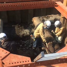 土の中よりヨコオペの画像