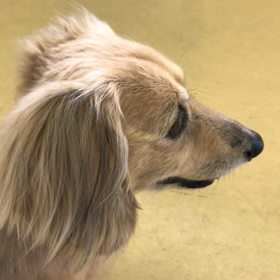 緊張ナウ❕の画像