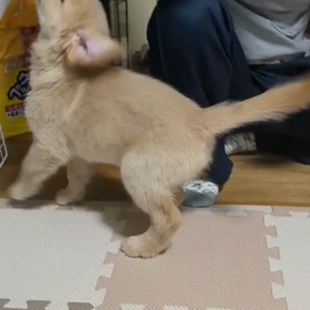 昨日はホントしんどかった‼️の画像