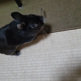 それは…の画像