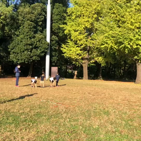 基本動作(Ｅグループ)④の画像